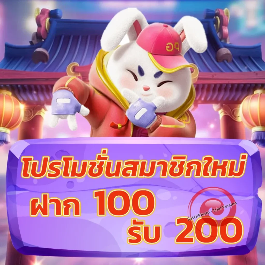 โบนัส bwvip-4